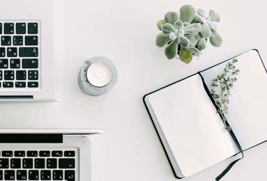 搏击俱乐部坐骑